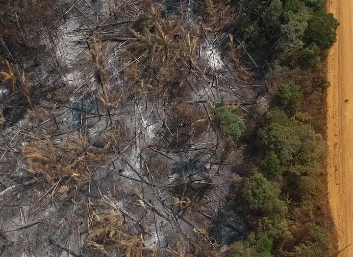 Transamazônica: 50 anos entre ufanismo e desastre ambienta